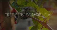 Tree Service Mobile AL 
