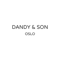 DANDY & SON LLC