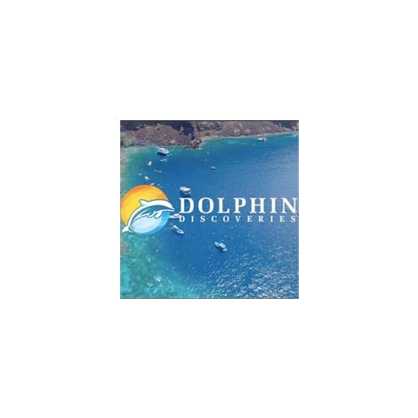  Dolphin Discoveries